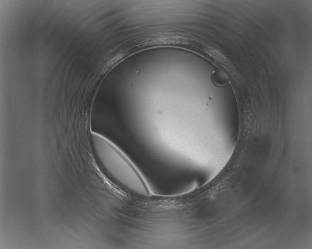 X0000051920841200507011557