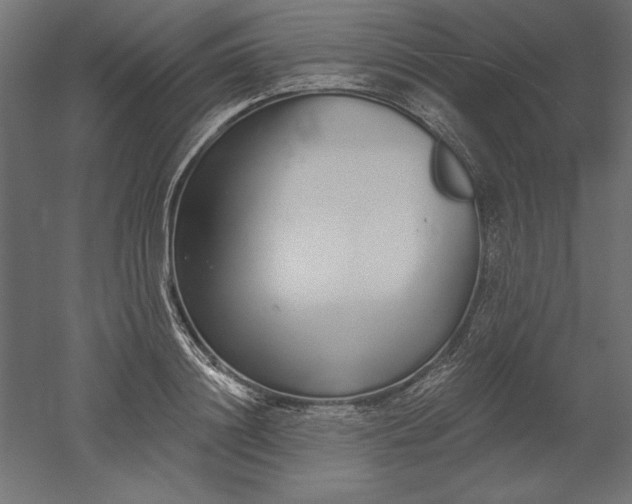 X0000051920844200507011558