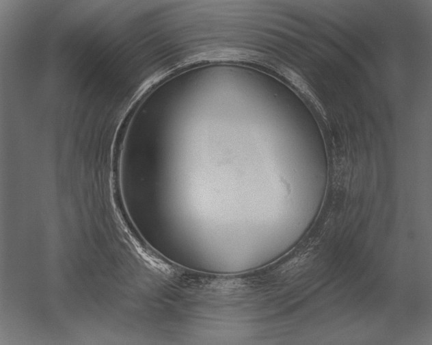 X0000051920845200507011558