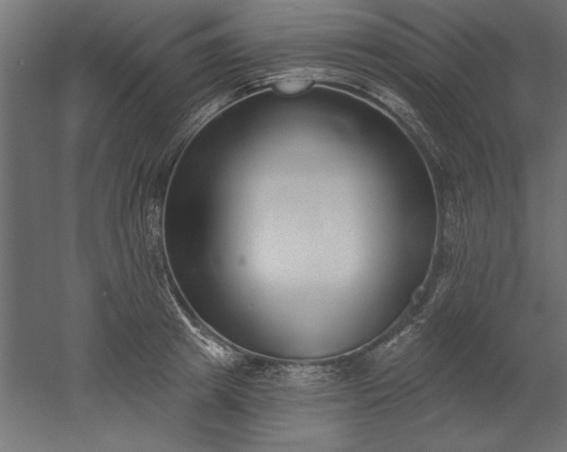 X0000051920849200507011558