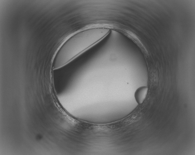 X0000051920852200507011558