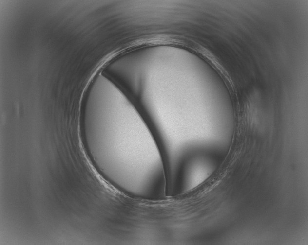X0000051920853200507011558