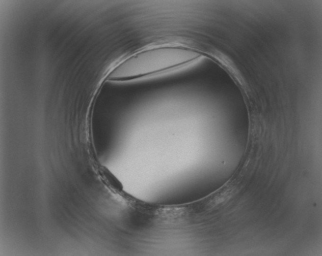 X0000051920858200507011558