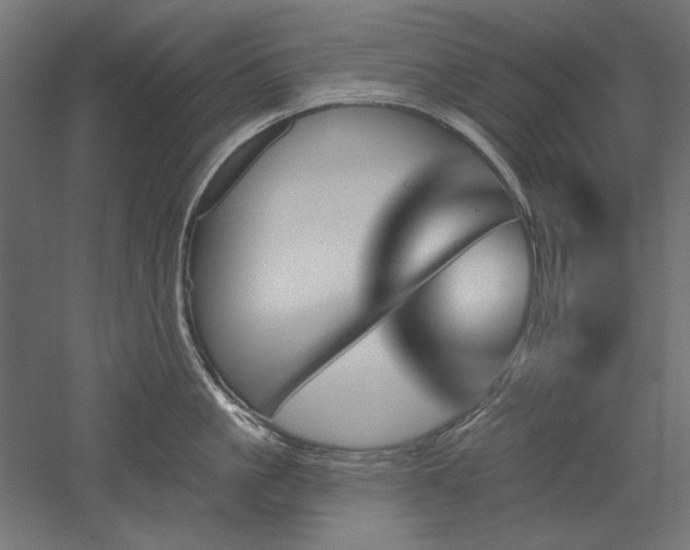 X0000051920861200507011558