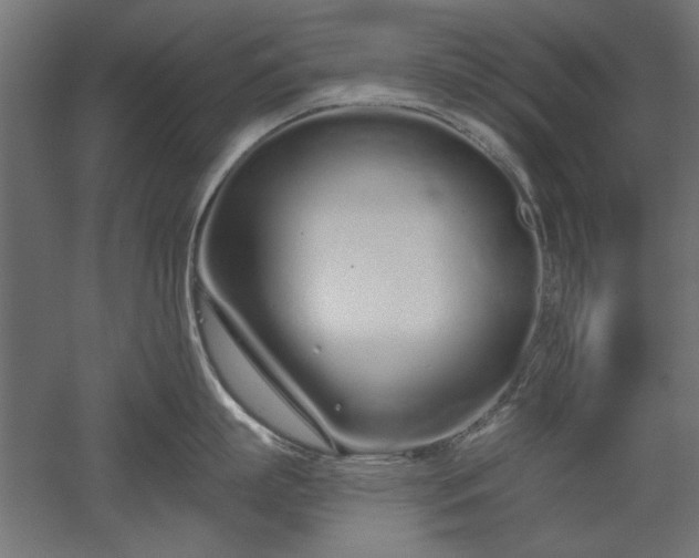 X0000051920863200507011558