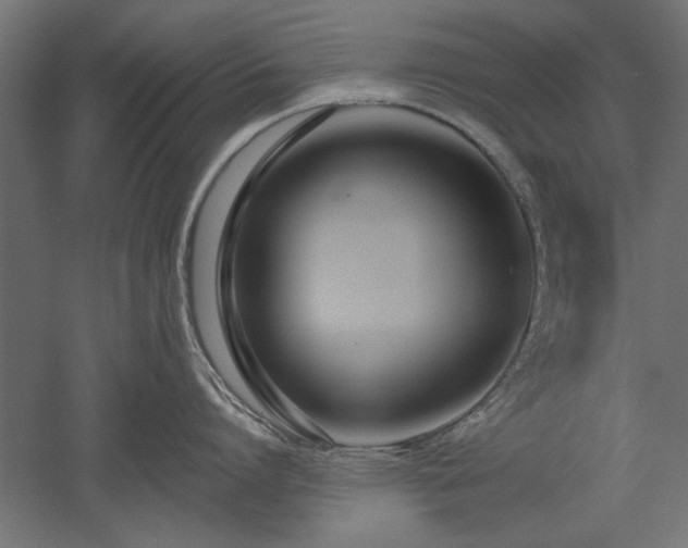 X0000051920864200507011558