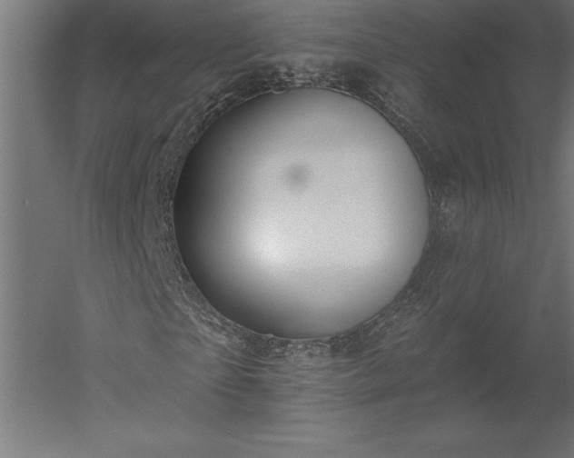 X0000051920865200507011557