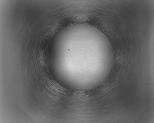 X0000051920866200507011557