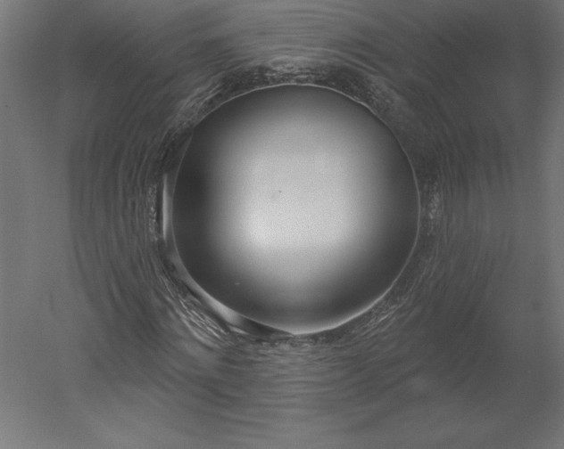 X0000051920868200507011557