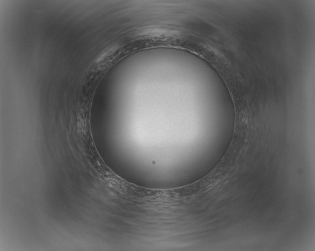 X0000051920869200507011557