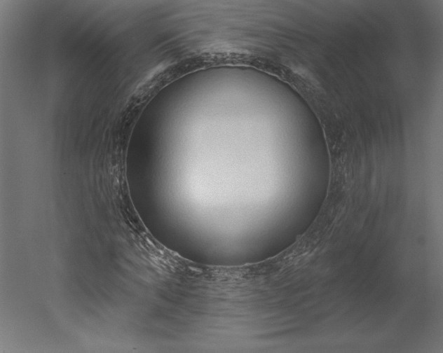 X0000051920870200507011557