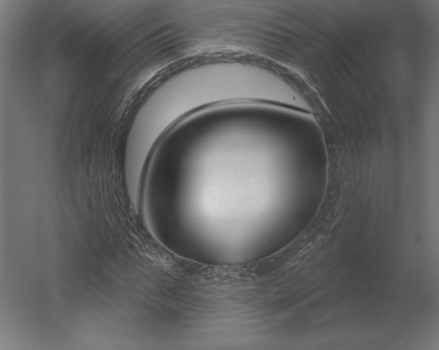 X0000051920871200507011557