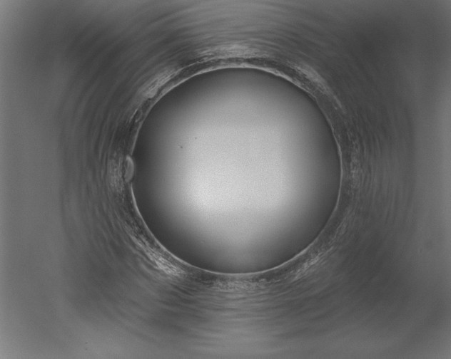 X0000051920873200507011557
