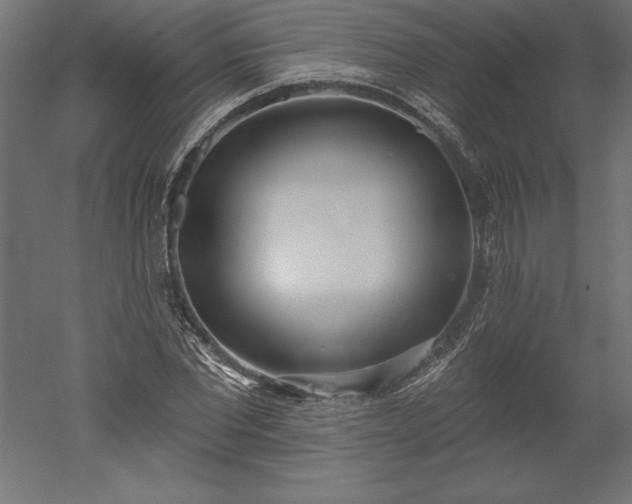 X0000051920877200507011557