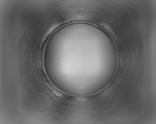 X0000051920878200507011557