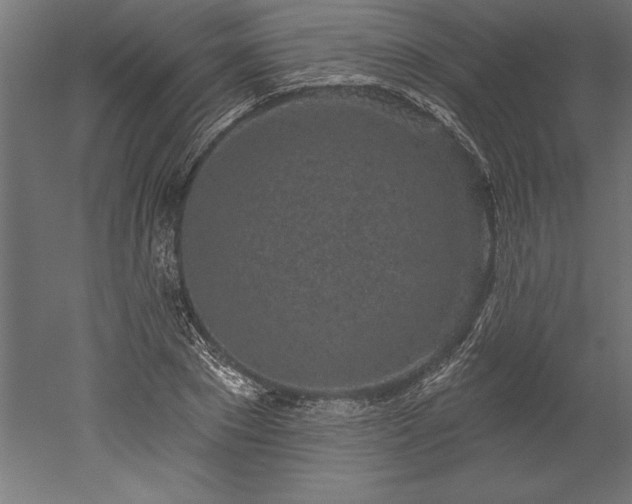 X0000051920881200507011557