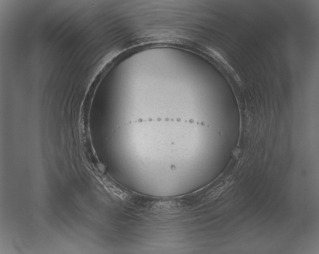 X0000051920883200507011557