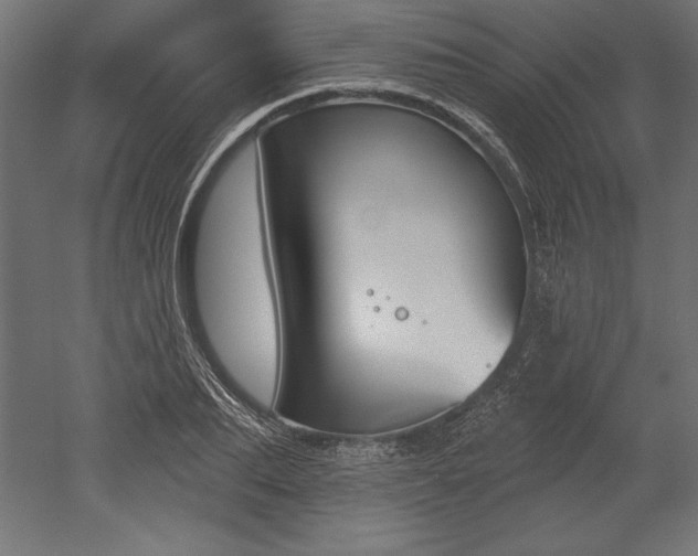 X0000051920887200507011557