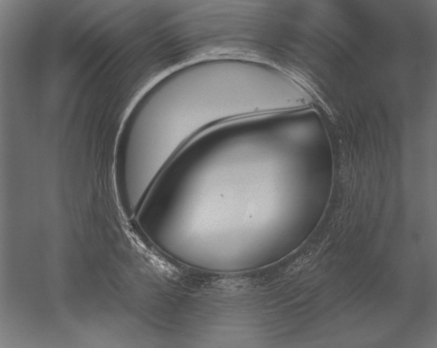 X0000051920888200507011557