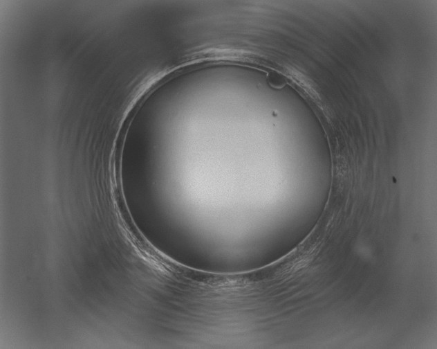 X0000051920891200507011557