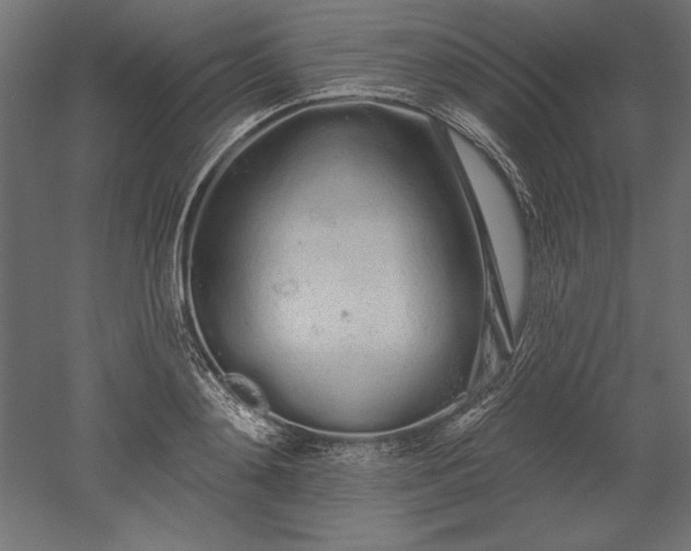 X0000051920892200507011557