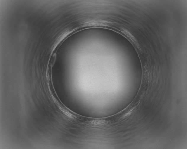 X0000051920893200507011557