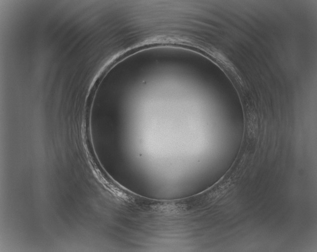 X0000051920896200507011557