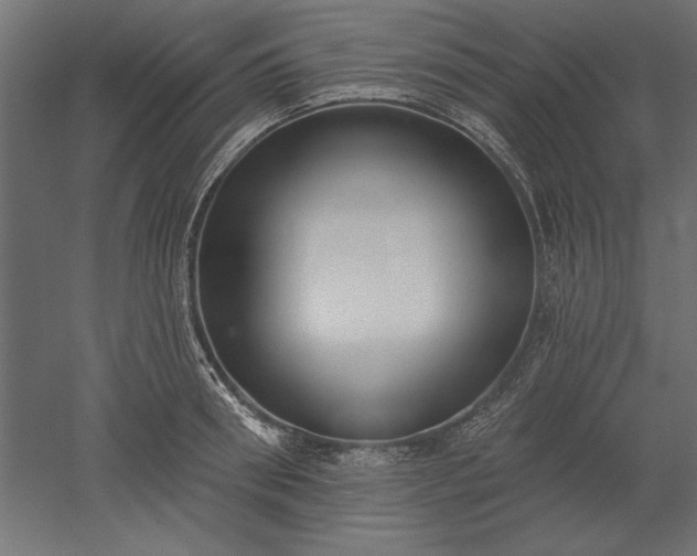 X0000051920898200507011556