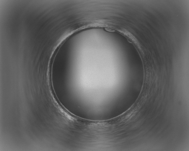 X0000051920902200507011556