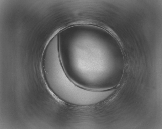 X0000051920909200507011556