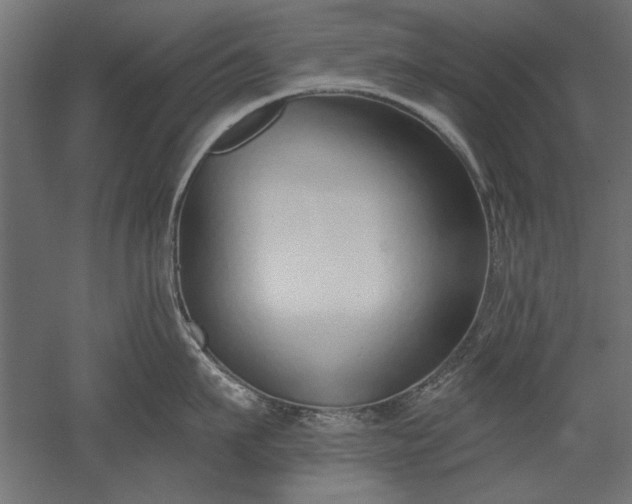 X0000051920911200507011556