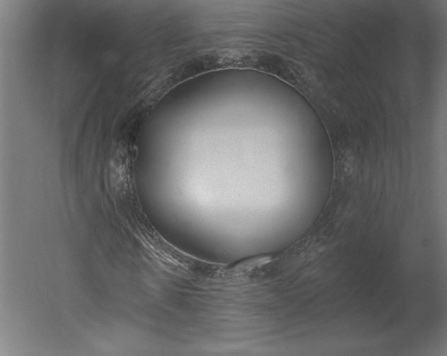 X0000051920914200507011555