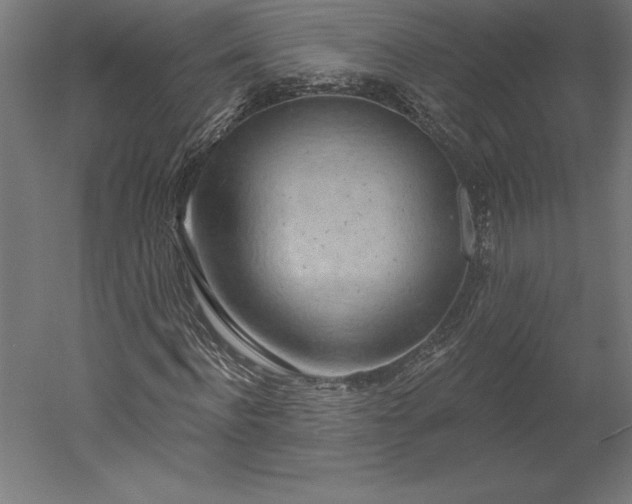 X0000051920916200507011555
