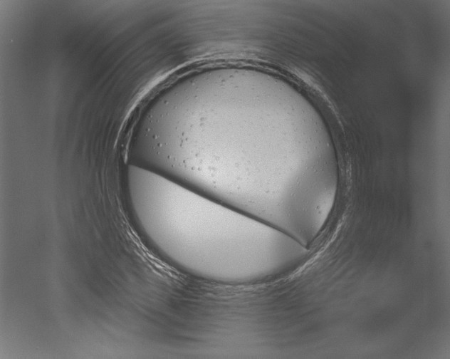 X0000051920925200507011556