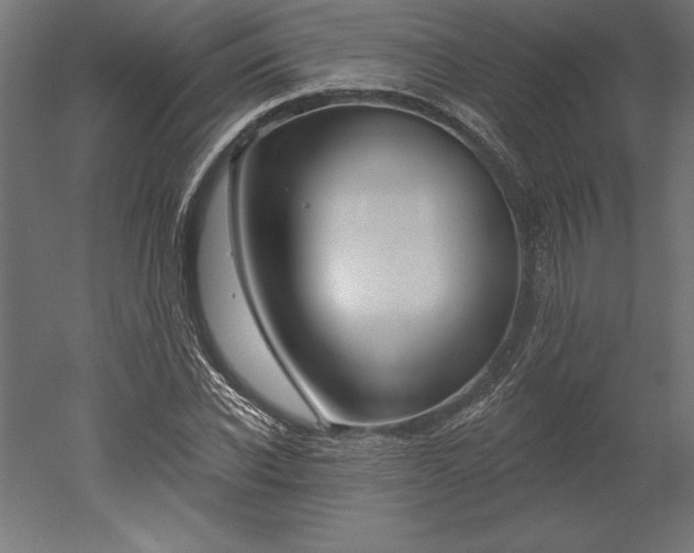 X0000051920926200507011556