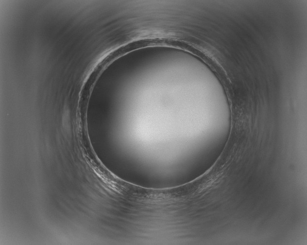 X0000051920927200507011556