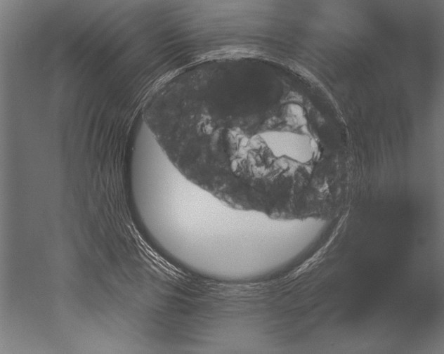 X0000051920929200507011556