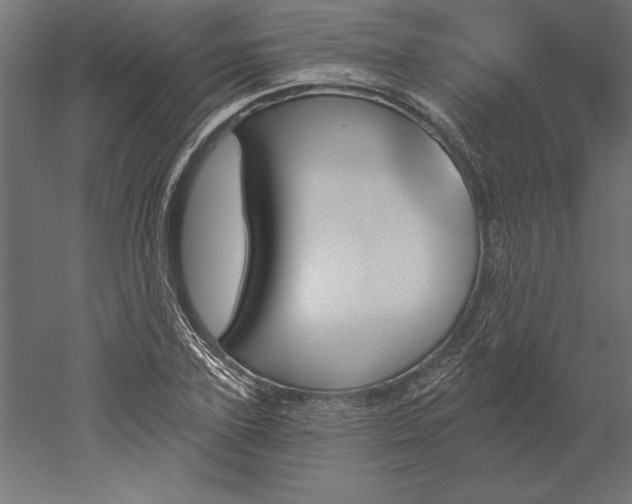 X0000051920931200507011556