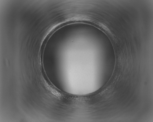 X0000051920934200507011556