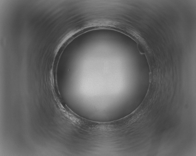 X0000051920936200507011556