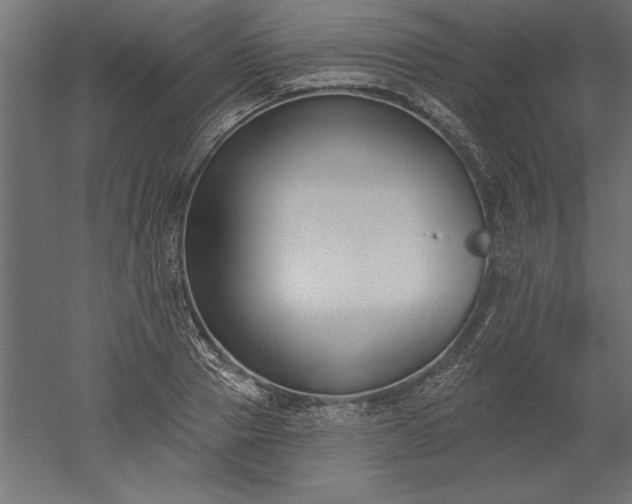 X0000051920937200507011556