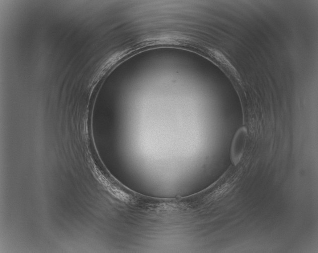X0000051920938200507011556