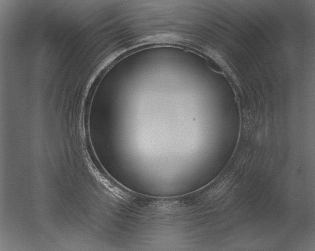 X0000051920939200507011556