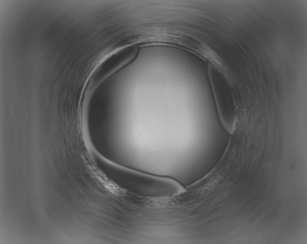 X0000051920940200507011556