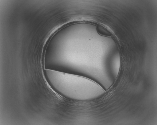 X0000051920943200507011556