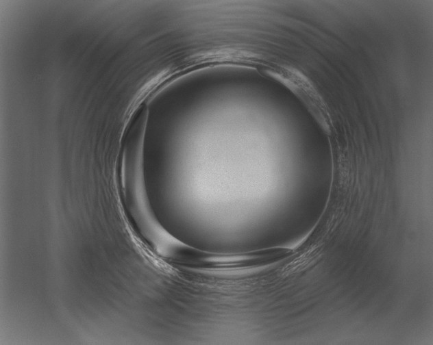 X0000051920946200507011556