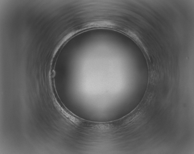 X0000051920947200507011556