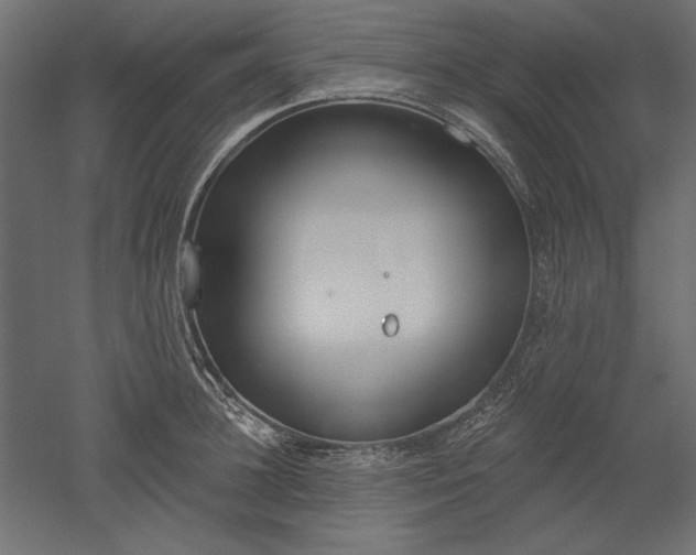 X0000051920948200507011556