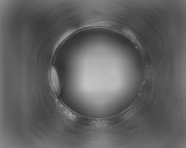 X0000051920952200507011556