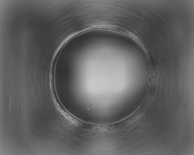 X0000051920955200507011556